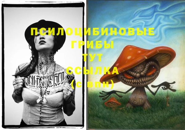 мдпв Кострома